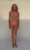 SFS-TUCKER BOTTOM-TIGERLILY