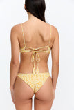 BENOA26-CELMA BOTTOM-GOLDIE
