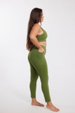 B24-LEGGINGS PALM